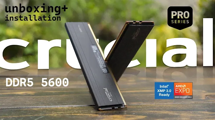 Sleek and Cheap RAM | Crucial Pro 32GB Kit DDR5-5600 UDIMM | Maven Tech